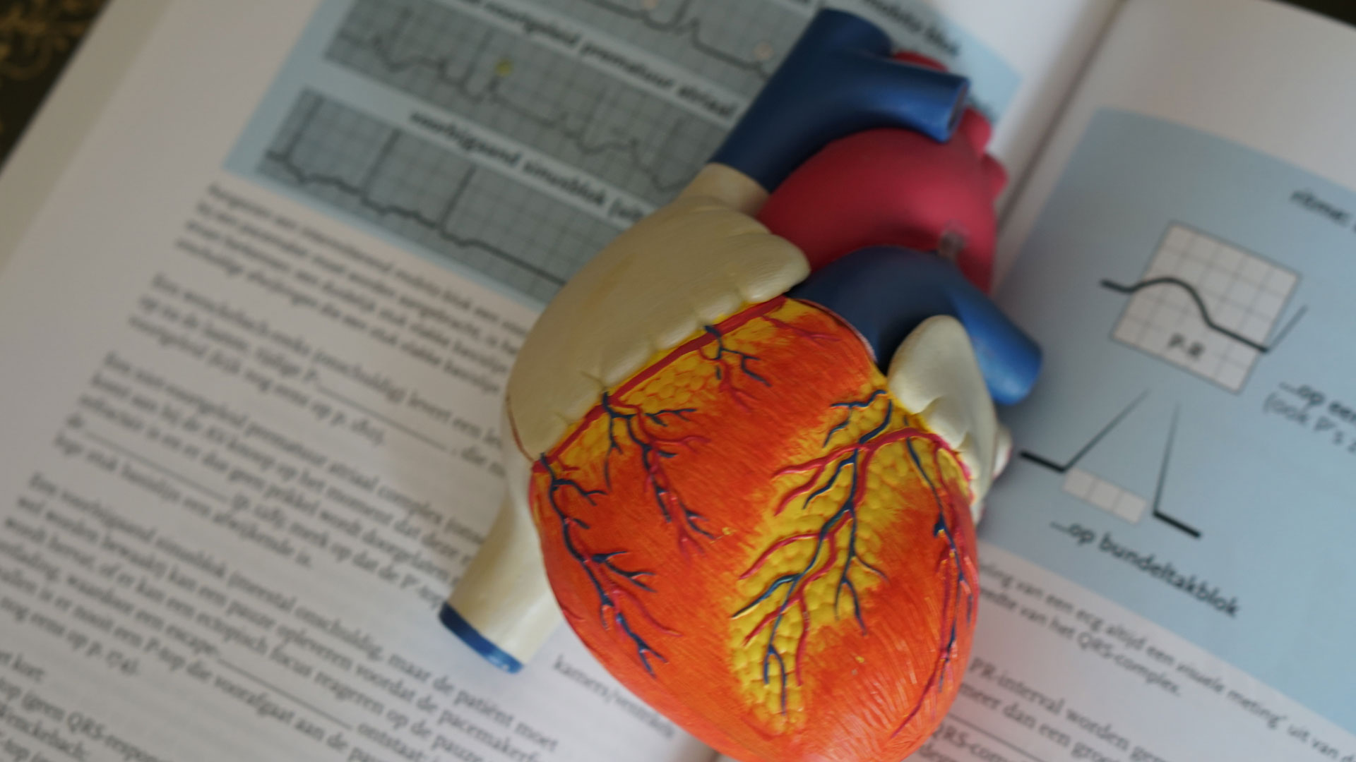 heart-valve-related-deaths-hidden